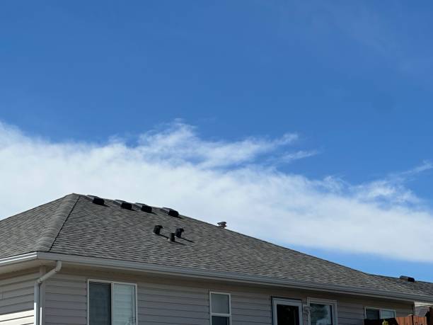 Siding in Scottdale, GA